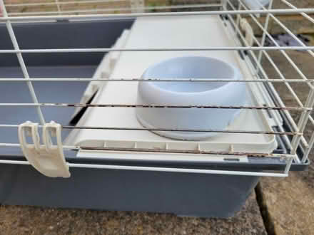 Photo of free Indoor small animal pet cage (Lords Wood ME5) #3