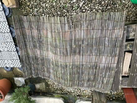 Photo of free Bamboo fence x2 (Streatham Hill SW16) #1