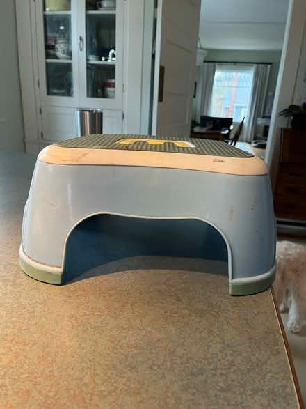 Photo of free Plastic step stool (Ballard) #1