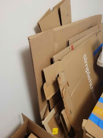 Photo of free Moving boxes - medium and large (60203) #1