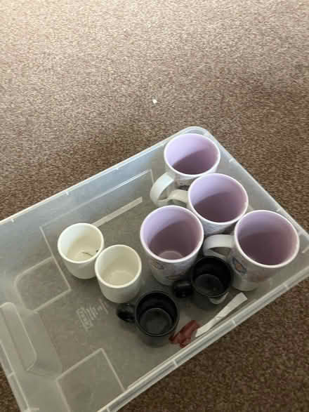 Photo of free Latte mugs and small cups (Allestree) #2