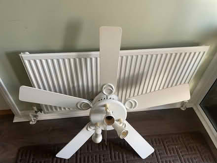 Photo of free Ceiling fan and light (TA8 burnham on sea) #1
