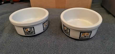 Photo of free Food bowls for small pet (Alta vista / riverside) #1
