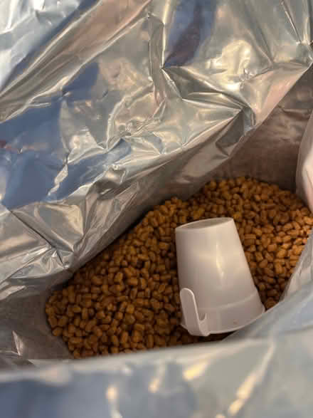 Photo of free Purina cat food (Blewbury) #2
