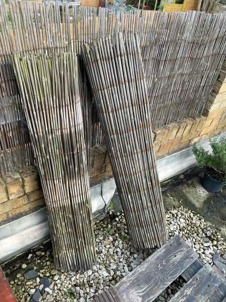 Photo of free Bamboo fence x2 (Streatham Hill SW16) #2