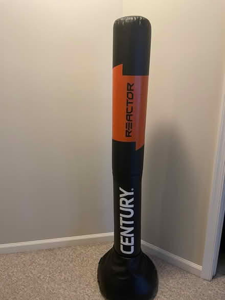 Photo of free Punching bag (Forest Lakes) #1