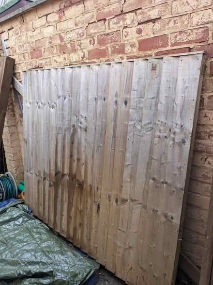 Photo of free Fence Panel (Knighton LE2) #1