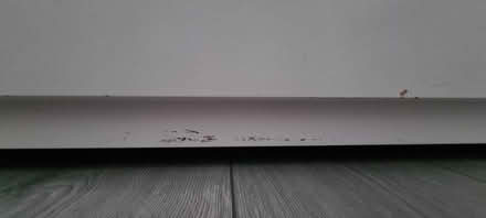 Photo of free Ikea pull out day bed (L4) #4