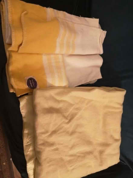 Photo of free Two wool blankets (Craiglockhart EH14) #1