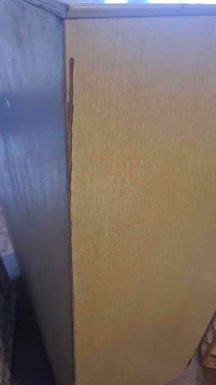 Photo of free Wardrobe/ drawer unit (Teignmouth TQ14) #3