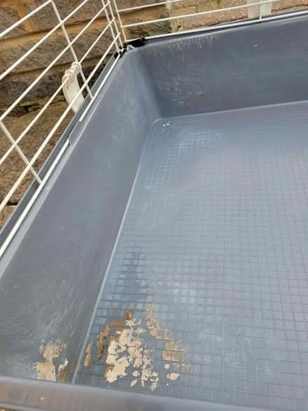 Photo of free Indoor small animal pet cage (Lords Wood ME5) #2