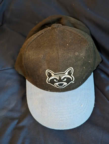 Photo of free baseball caps (Hopewell Junction) #2
