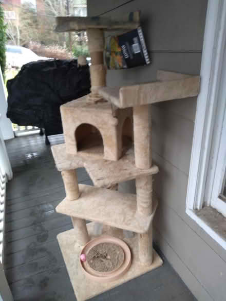 Photo of free Cat tree (N. Queen Anne) #1