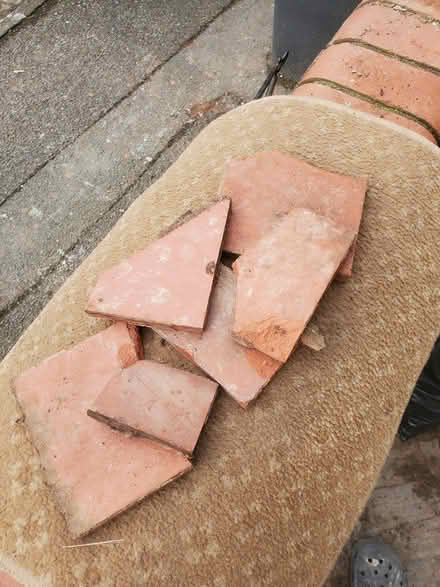 Photo of free Victorian (?) terracotta tiles (Totterdown, Bristol) #1