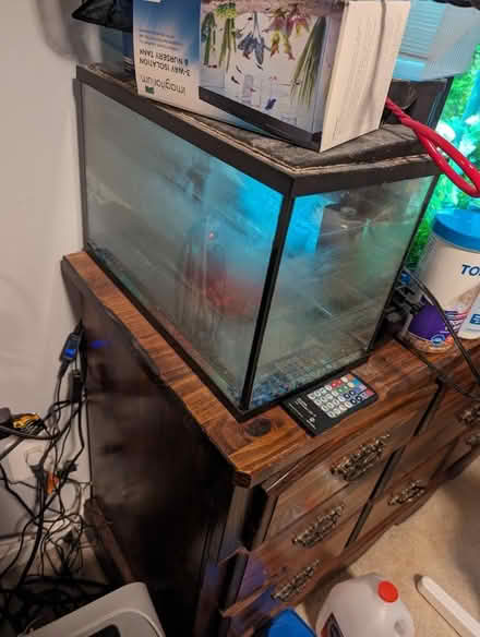 Photo of free 5 gallon tank (Cascades area Sterling, Va) #1