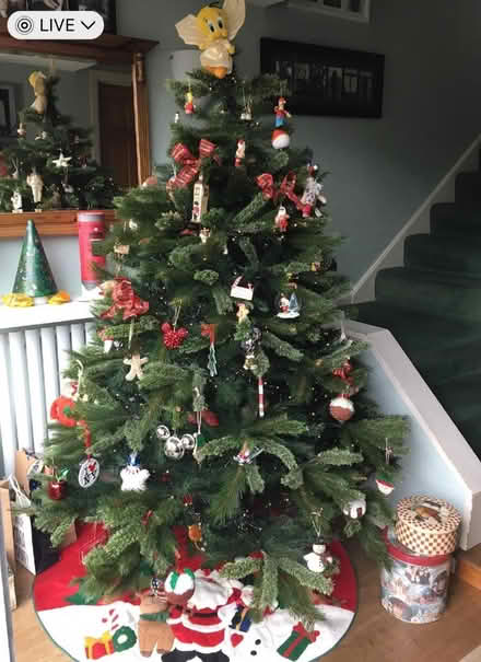 Photo of free Artificial Christmas tree (Enfield EN1) #1