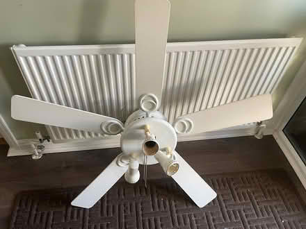 Photo of free Ceiling fan and light (TA8 burnham on sea) #4