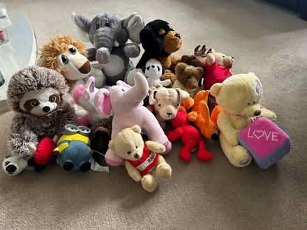 Photo of free Soft teddies (Penrith CA11) #1