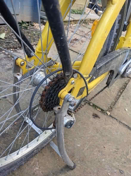 Photo of free Rare bike (Oxted, RH8) #3
