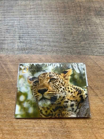 Photo of free 3D Leopard Magnet (20009 Adams Morgan) #1