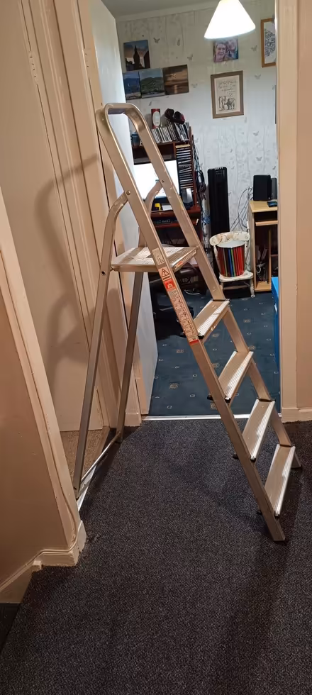 Photo of free Stainless steel decorating ladders (Hillhouse ML3) #2
