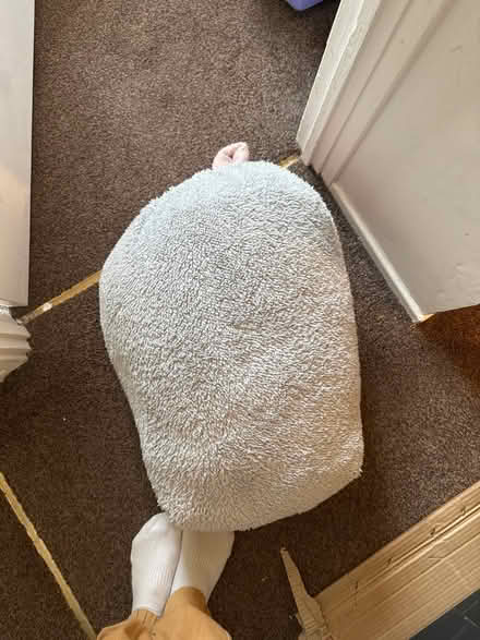 Photo of free Duvet Cover (stevenage) #1