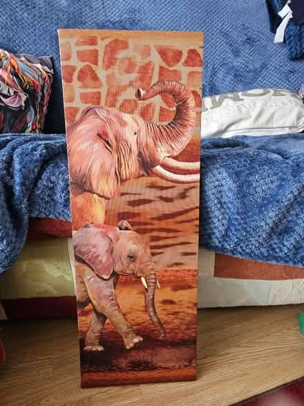 Photo of free Canvas (Hampden Park BN22) #1