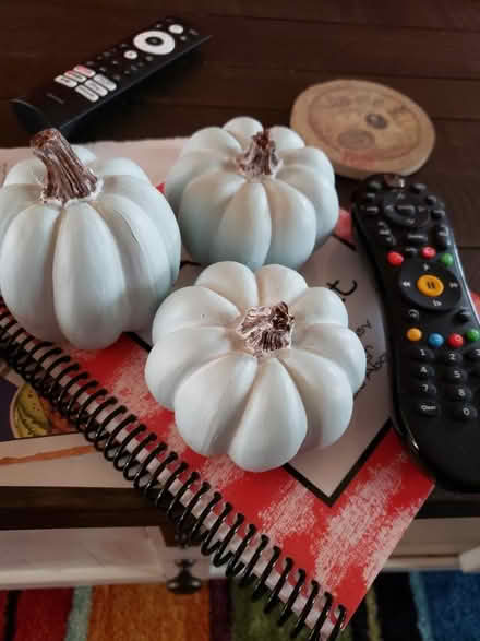 Photo of free Decorative pumpkins, small (Leavells Crossing in Spotsy) #1