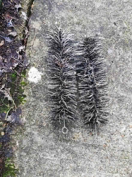 Photo of free Filter Brushes for Pond (Eastbourne BN21) #1