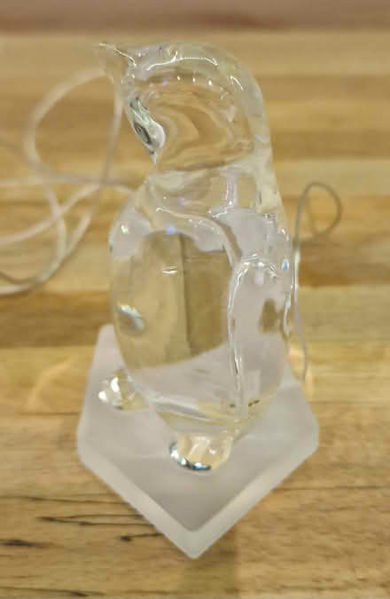 Photo of free Light up penguin (Cheam SM3) #3