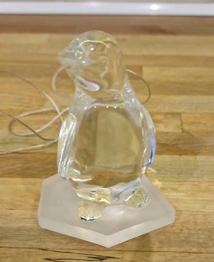 Photo of free Light up penguin (Cheam SM3) #2