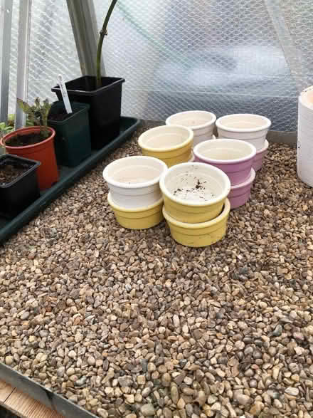 Photo of free Ramekin dishes (Leith EH6) #1
