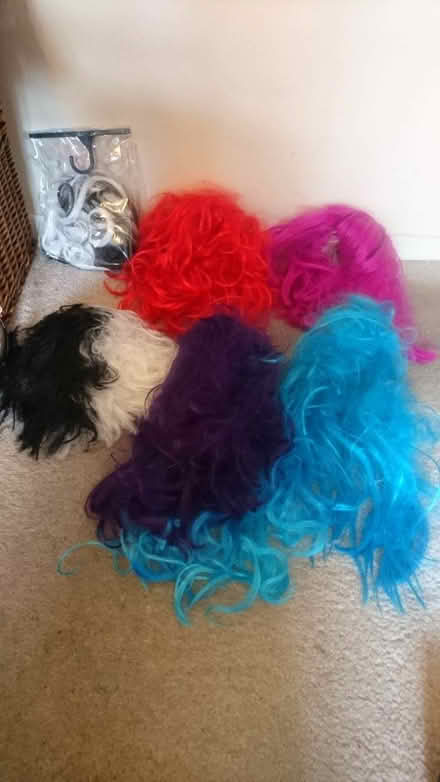 Photo of free 6 Brightly Coloured Party Wigs (Twickenham TW1) #1