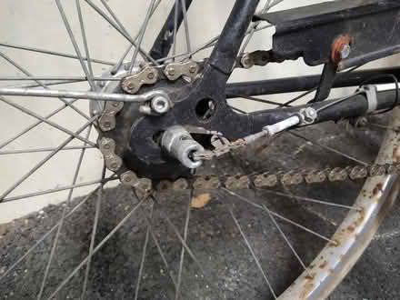 Photo of free Bicycle / Bike (Crouch End N8) #4