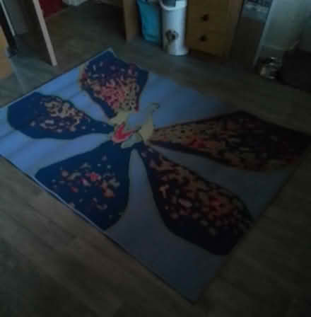 Photo of free Blue rug (Birkby HD2) #1
