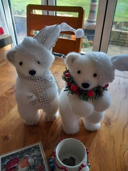 Photo of free Christmas bits (Welwyn, Oaklands. AL6) #2