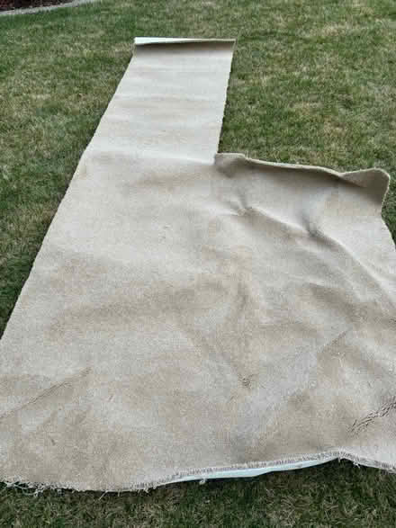 Photo of free Scrap of rug (Saratoga) #4