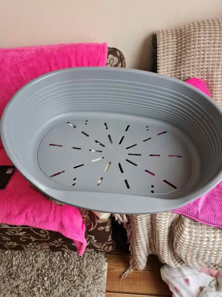 Photo of free Dog bed(plastic) (Leeds LS13 bramley) #1