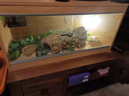 Photo of Vivarium (Medway/kent) #1