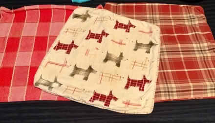 Photo of free Cushion Covers: reds/checks/Scottie dogs! (Kendal LA9) #2