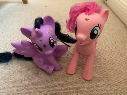 Photo of free Plastic my little pony toys (Didcot, Ladygrove) #1
