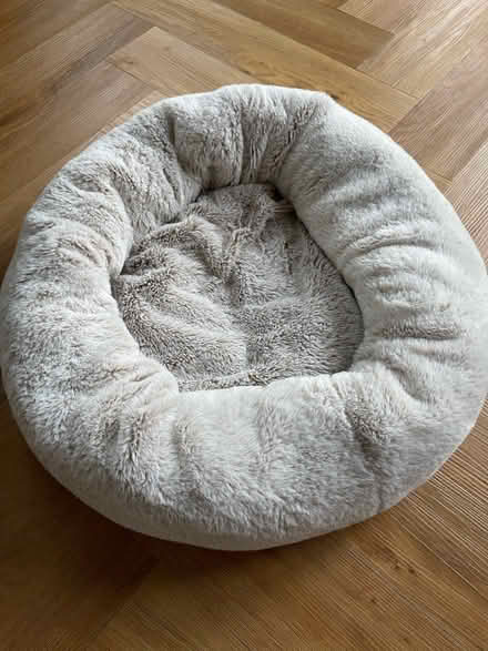 Photo of free Brand new cat dog bed - never used (Crouch End / Stroud Green N8) #1