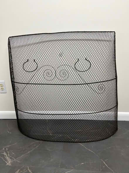Photo of free Fireplace screen (Fairland) #1