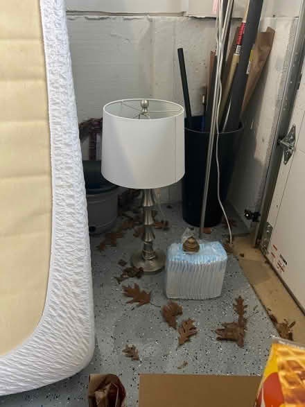 Photo of free Lamp (Vienna NE) #1