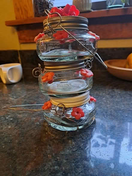 Photo of free Little hummingbird feeders (wallingford) #1