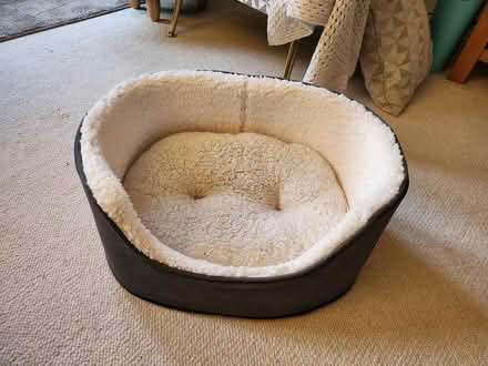 Photo of free Cat bed, used twice (Emsworth) #1
