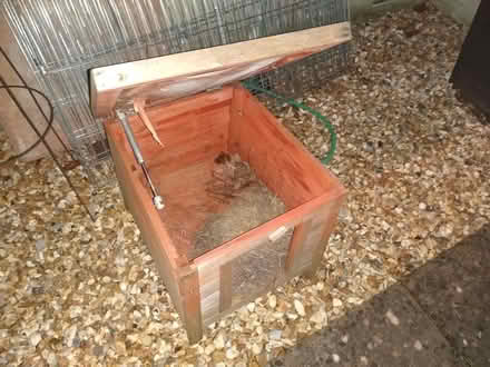 Photo of free Rabbit small hutch (Abergavenny NP7) #1