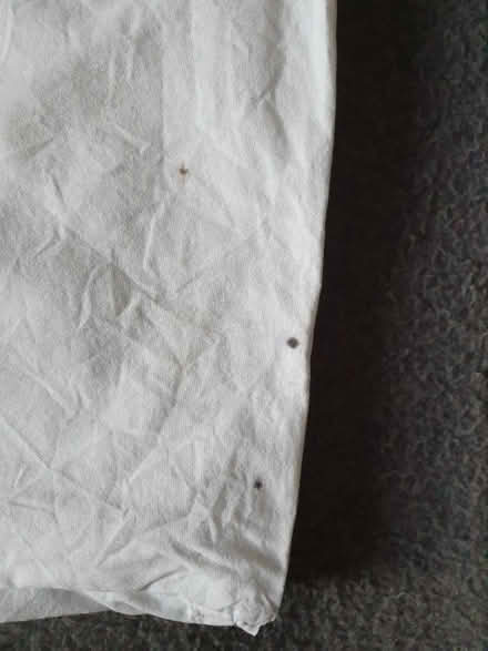 Photo of free 2 toddler pillows John Lewis (SW8 Oval Vauxhall) #3