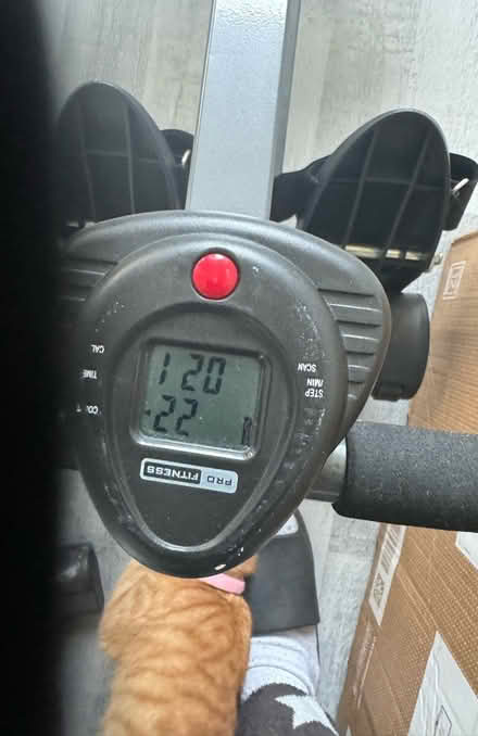 Photo of free Working Rower (Redhill) #1