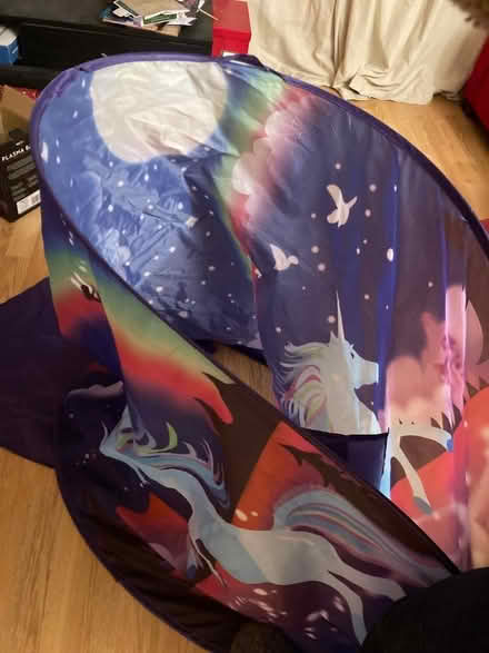 Photo of free Girl’s bed tent (North Tonbridge TN10) #2